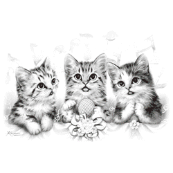 CHORUS LINE 00014SA6.gif